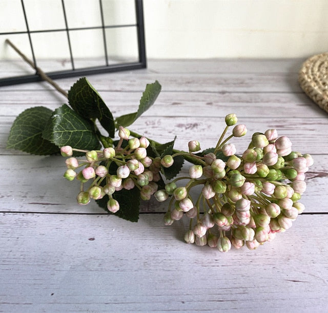 Pastel Hydrangea Buds