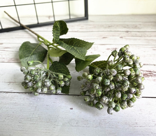 Pastel Hydrangea Buds