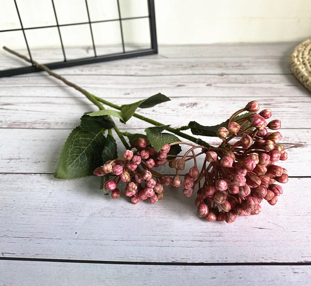 Pastel Hydrangea Buds