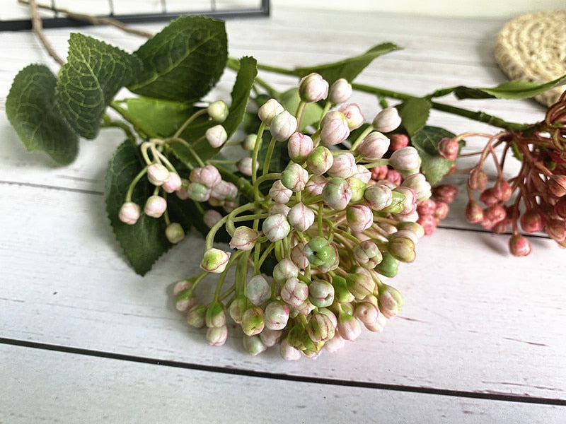 Pastel Hydrangea Buds