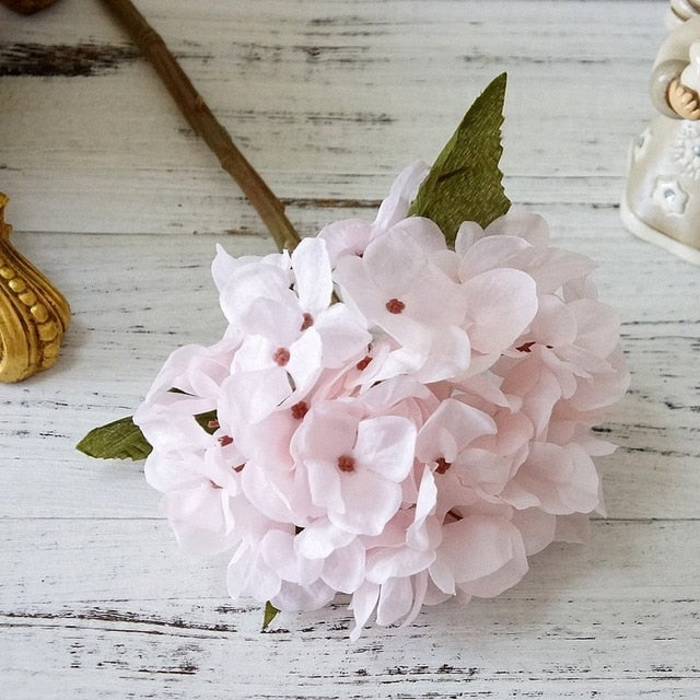 Colorful Hydrangea