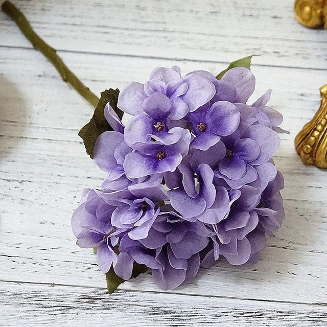 Colorful Hydrangea